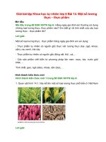 giai sgk khoa hoc tu nhien lop 6 bai 14 chan troi sang tao mot so luong thuc thuc pham 