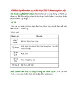 giai sgk khoa hoc tu nhien 6 bai 19 canh dieu da dang thuc vat 