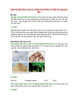 giai sgk khoa hoc tu nhien lop 6 bai 13 chan troi sang tao mot so nguyen lieu 