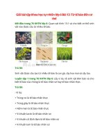 giai sgk khoa hoc tu nhien 6 bai 13 canh dieu tu te bao den co the 