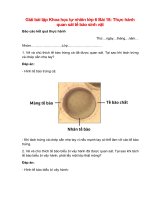 giai sgk khoa hoc tu nhien lop 6 bai 18 chan troi sang tao thuc hanh quan sat te bao sinh vat 