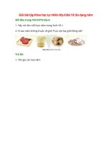 giai sgk khoa hoc tu nhien 6 bai 18 canh dieu da dang nam 