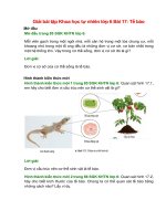 giai sgk khoa hoc tu nhien lop 6 bai 17 chan troi sang tao te bao 