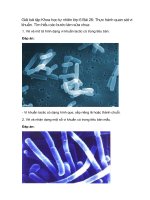 giai sgk khoa hoc tu nhien 6 bai 26 chan troi sang tao thuc hanh quan sat vi khuan tim hieu cac buoc lam sua chua 