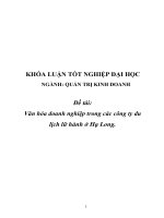 NGÀNH QUẢN TRỊ KINH DOANH đề tài văn hóa doanh nghiệp trong các công ty du lịch lữ hành ở hạ long  