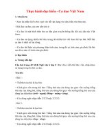 soan bai thuc hanh doc hieu ca dao viet nam hay nhat canh dieu 