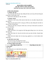 GA HDTN 3 sach canh dieu HK2 