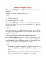 soan bai thuc hanh tieng viet trang 16 ngan nhat canh dieu 