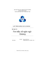 LẬP TRÌNH NÂNG CAO (CO2039) bài tập lớn tìm hiểu về ngôn ngữ golang 