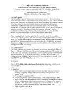 URBAN ENVIRONMENTS 08 Natural Resources 494694(section 04) 4 credit independent study A service-learning course in conjunction with NYC Alternative Spring Break