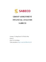 GROUP ASSIGNMENT FINANCIAL ANALYSIS SABECO 