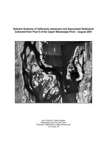 Summary Report - Pool 8 Vallisneria study 2001 Final