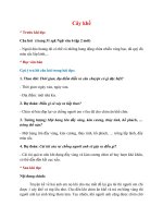 soan bai cay khe hay nhat ket noi tri thuc 