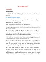 soan bai con chao mao hay nhat ket noi tri thuc de65j 