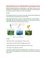 giai sgk khoa hoc tu nhien 6 bai 5 canh dieu su da dang cua chat 