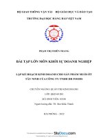 Bài tập lớn môn khởi sự doanh nghiệp lập kế hoạch kinh doanh cho sản phẩm muối ớt tây ninh của công ty tnhh dh foods 