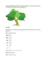 giai sgk toan 6 bai 11 canh dieu phan tich mot so ra thua so nguyen to 