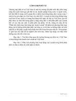 Tiểu luận phân tích chiến lược bán hàng trực tuyến lazada 