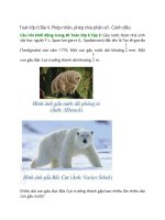 giai sgk toan lop 6 bai 4 canh dieu phep nhan phep chia phan so canh dieu 