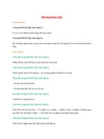 soan bai hai loai khac biet ngan nhat ket noi tri thuc sjdbh 