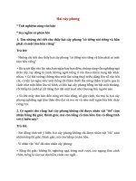 soan bai hai cay phong hay nhat chan troi sang tao fukct 