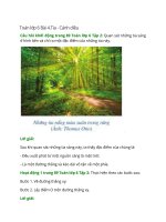 giai sgk toan lop 6 bai 4 canh dieu tia 