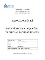 BÁO cáo CUỐI kỳ PHÂN TÍCH CHIẾN lược CÔNG TY cổ PHẦN tập đoàn HOA SEN 