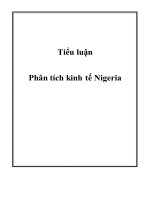 phân tích kinh tế nigeria 