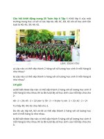 giai sgk toan 6 bai 8 canh dieu dau hieu chia het cho 2 cho 5 