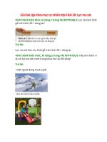 giai sgk khoa hoc tu nhien 6 bai 28 canh dieu luc ma sat 