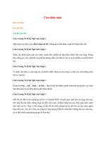 soan bai con chao mao ngan nhat ket noi tri thuc 
