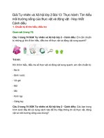 giai sgk tu nhien va xa hoi lop 2 trang 74 75 76 77 78 bai 13 thuc hanh tim hieu moi truong song cua thuc vat va dong vat canh dieu 