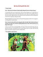 soan bai bai hoc duong doi dau tien hay nhat chan troi sang tao bihvu 