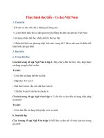 soan bai thuc hanh doc hieu ca dao viet nam ngan nhat canh dieu 