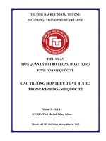 TIỂU LUẬN môn QUẢN lý rủi RO TRONG HOẠT ĐỘNG KINH DOANH QUỐC tế các TRƯỜNG hợp THỰC tế về rủi RO TRONG KINH DOANH QUỐC tế 