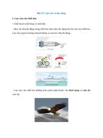 ly thuyet luc can va luc nang ket noi tri thuc 2022 hay chi tiet vat li 10 