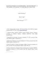 QUANTUM PHYSICS IN NEUROSCIENCE AND PSYCHOLOGY A NEW MODEL WITH RESPECT TO MINDBRAIN INTERACTION