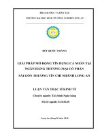 Giải pháp mở rộng tín dụng cá nhân tại Ngân hàng Thương mại Cổ phần Sài Gòn Thương Tín Chi nhánh Long An