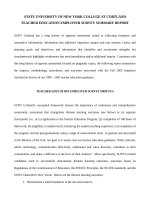 Employer Survey Summary Report