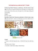 giai sgk khoa hoc tu nhien 6 bai 27 ket noi tri thuc vi khuan 