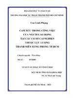 Cảm xúc trong công việc của người lao động tại các cơ sở cai nghiện thuộc lực lượng thanh niên xung phong TP  HCM 