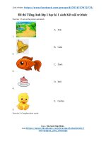 de thi tieng anh lop 1 hoc ki 1 sach ket noi tri thuc 