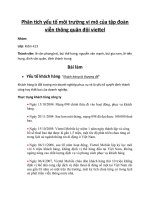 Phân tích yếu tố môi trường vi mô của tập đoàn viễn thông quân đội viettel 