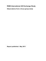 RNIB International AD Exchange Study Observations from a focus group study