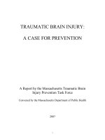TRAUMATIC BRAIN INJURY A CASE FOR PREVENTION A Report by the Massachusetts Traumatic Brain Injury Prevention Task Force Convened by the Massachusetts Department of Public Health