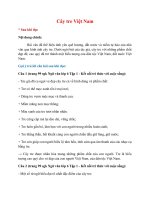 soan bai cay tre viet nam hay nhat ket noi tri thuc dzcbc 