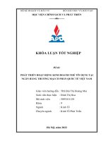Phát triển hoạt động kinh doanh thẻ tín dụng tại ngân hàng tmcp quốc tế việt nam (vib bank) 