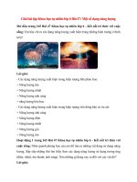 giai sgk khoa hoc tu nhien 6 bai 47 ket noi tri thuc mot so dang nang luong 