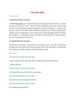 soan bai co be ban diem ngan nhat ket noi tri thuc 