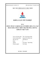 Phân tích và định giá cổ phiếu hpg của tập đoàn hoà phát trên thị trường việt nam 